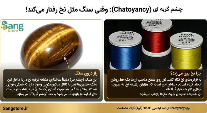   سنگ چشم ببر چک کردن حالت چشم گربه اینفوگرافی